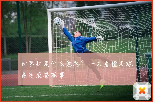 世界杯是什么意思？一文看懂足球最高荣誉赛事