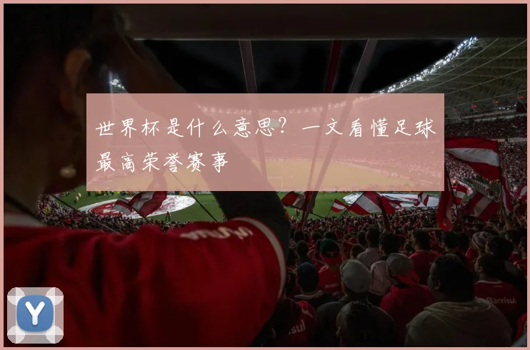世界杯是什么意思?一文看懂足球最高荣誉赛事