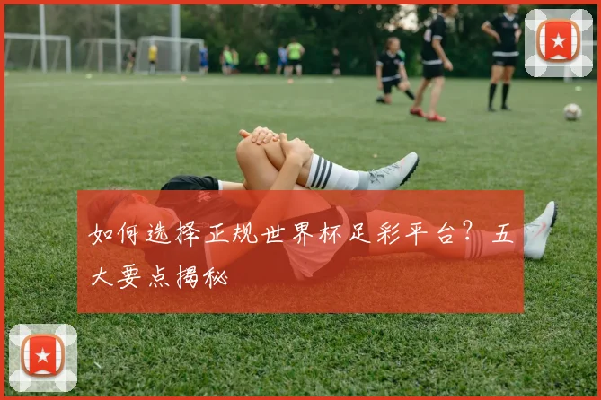 如何选择正规世界杯足彩平台？五大要点揭秘