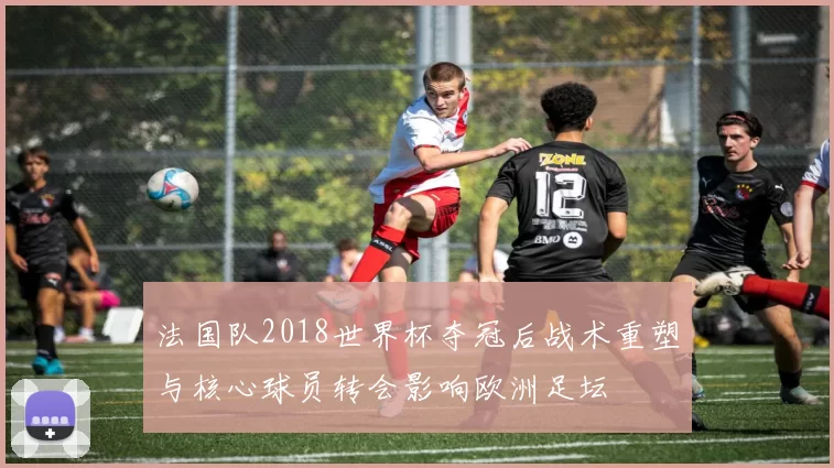 法国队2018世界杯夺冠后战术重塑与核心球员转会影响欧洲足坛