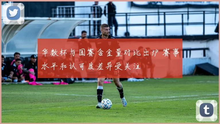 华数杯与国赛含金量对比出炉 赛事水平和认可度差异受关注