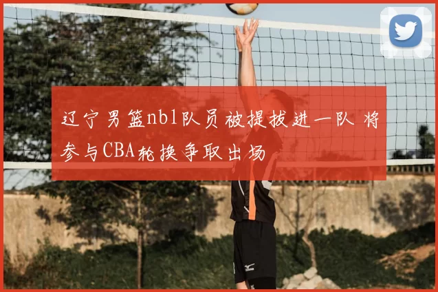 辽宁男篮nbl队员被提拔进一队 将参与CBA轮换争取出场