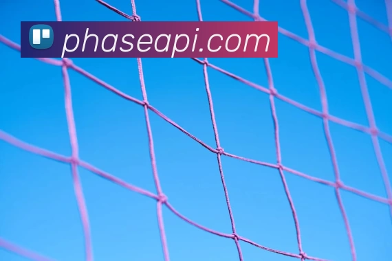 三亿体育 - 三亿(中国)一站式服务官方网站发展历程